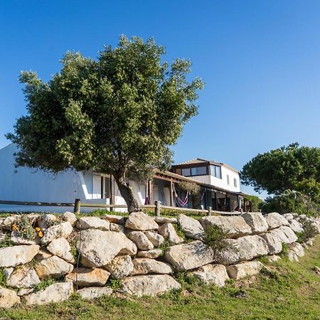 Monte Velho Retreat Centre Hotel Aljezur Bagian luar foto
